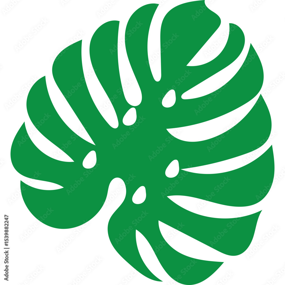 Obraz premium Tropical Monstera Leaf