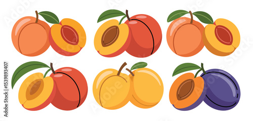 Assorted fresh peaches and plums fruit illustration