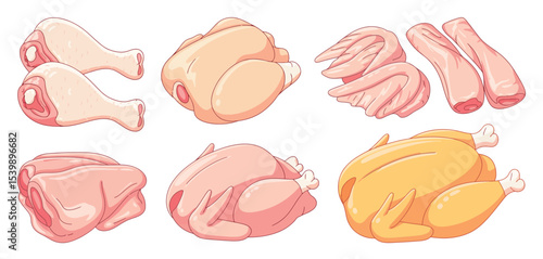 Assorted raw chicken cuts for cooking