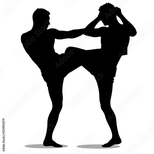 Two male fighters practicing martial arts in silhouette without background  