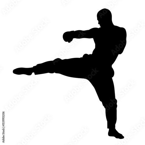 Silhouette of a martial artist performing a kick without background  