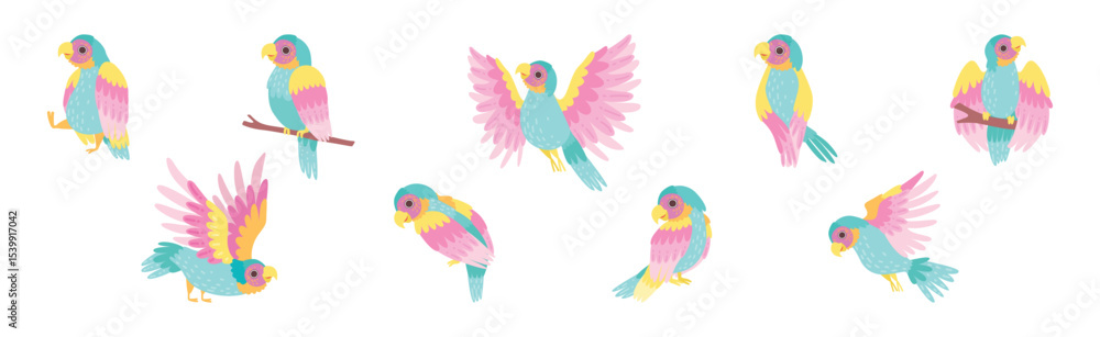 Fototapeta premium Funny Tropical Parrot with Bright Feathered Wings Vector Set