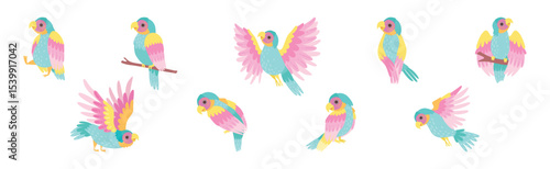 Funny Tropical Parrot with Bright Feathered Wings Vector Set