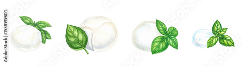 Fresh mozzarella balls garnished with fragrant basil leaves.