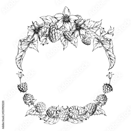 Raspberry ripe garden berries flower buds leaves wreath, hand drawn in vector ink. Dewberry cloudberry mulberry loganberry tayberry. Isolated circle frame illustration. Wedding stationery florist shop