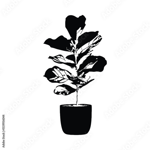 Black and White Fiddle Leaf Fig Plant in Pot Silhouette