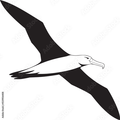 Canvas-taulu A black and white illustration of an albatross bird in flight with its wings spr
