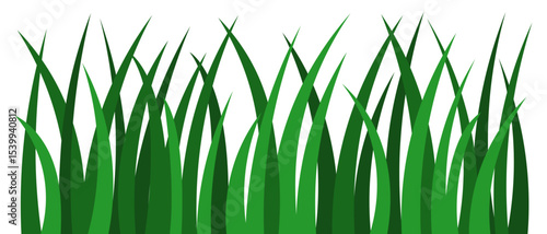 Green grass. Tall weeds. Vector illustration. Isolated white background. Flat style. Vigorous vegetation. Web design idea.