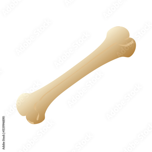bone shaped dog bone