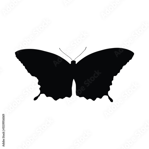 Black Butterfly Silhouette Wings Insect Nature Graphic