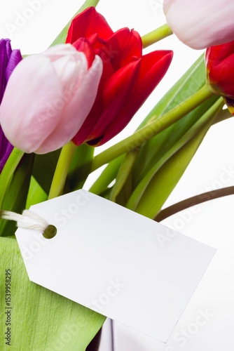 Fototapeta Naklejka Na Ścianę i Meble -  Tulip bouquet is showing in flat design, white backdrop, gift tag tied to stem, copy space