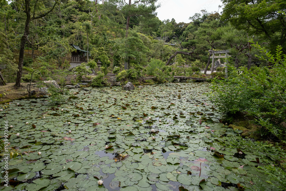 Naklejka premium Tempio Konchi-in kyoto