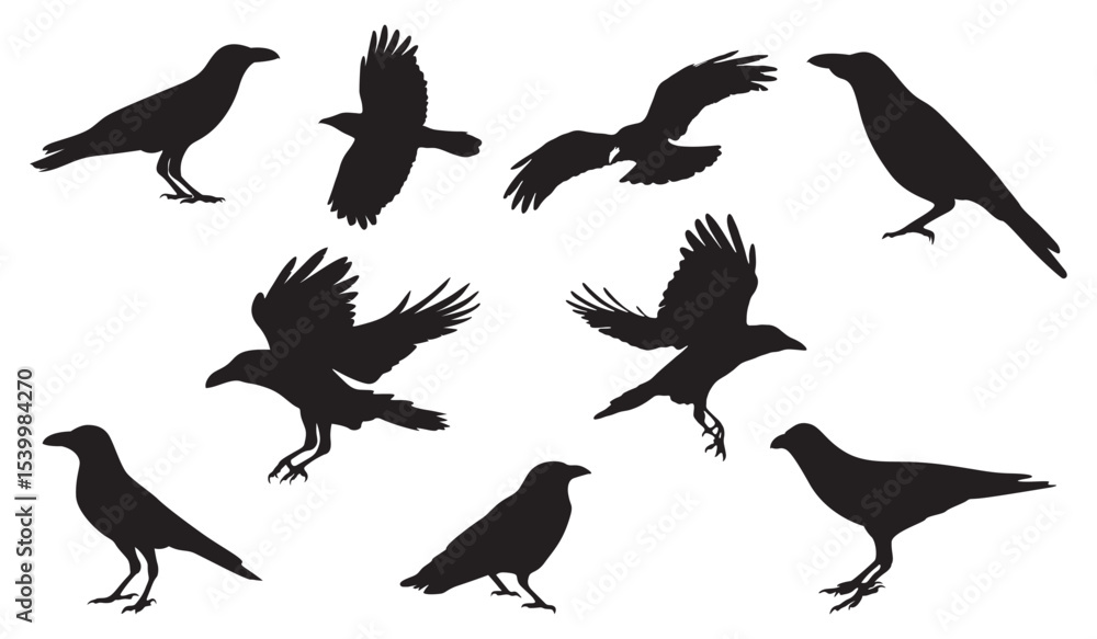 Obraz premium Crow isolated black silhouette set. set of birds silhouettes. isolated black silhouette bird. Raven Halloween. Dark birds icon clipart. crow collection