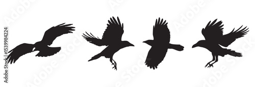 Crow isolated black silhouette set. isolated black silhouette bird. Raven Halloween dark birds icon clipart. crow collection. set of silhouettes of birds