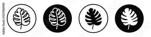 Monstera deliciosa plant leaf icon