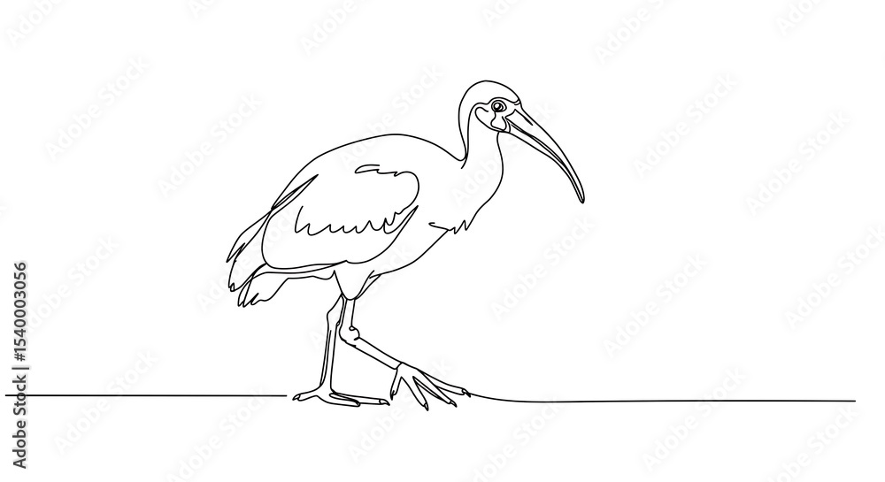 Naklejka premium Single line drawing of a walking ibis bird.