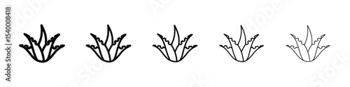 Aloe vera icon isolated vector on white background set