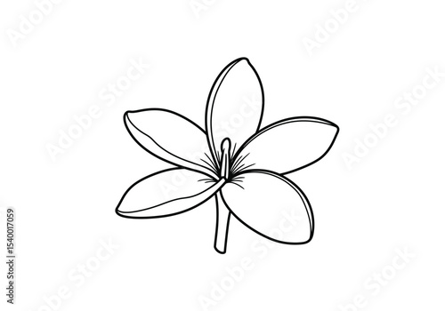 Champa flower drawing. A black and white outline image of a single Champa flower, also known as Plumeria or Frangipani, its distinct five petals and central stamen. Vector sketch line art draw.