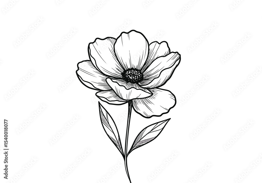 Shaded flower drawing. It is a black and white outline image of a single flower, likely an anemone or poppy, featuring detailed shading on its petals and central stamen. Vector sketch line art draw. Shaded flower drawing. It is a black and white outline image of a single flower, likely an anemone or poppy, featuring detailed shading on its petals and central stamen. Vector sketch line art draw.