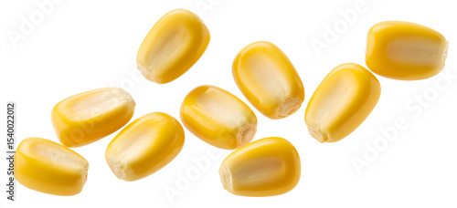 Close-up of corn kernels on a dark background
