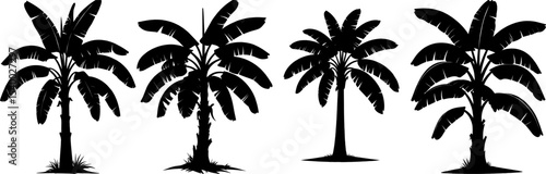Silhouetted Banana Trees Vector Illustration Set