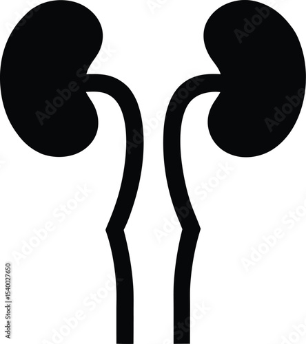 Human bladder urinary system icon  vector illustration on transparent background.