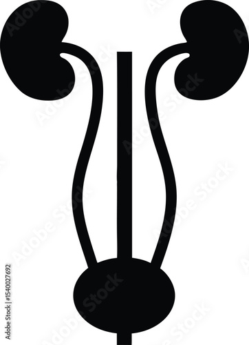 Human bladder urinary system icon  vector illustration on transparent background.