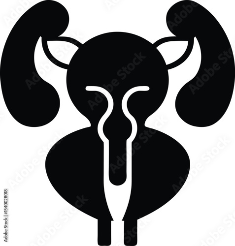 Human bladder urinary system icon  vector illustration on transparent background.