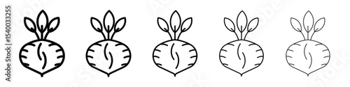 kohlrabi icon isolated vector on white background set