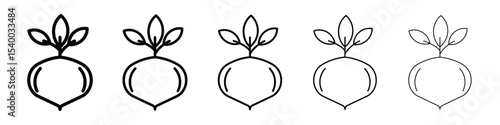 kohlrabi icon isolated vector on white background set