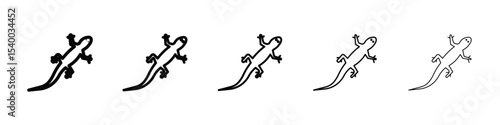 Lizard icon isolated vector on white background set