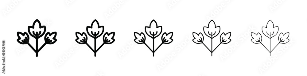 Obraz premium Parsley icon isolated vector on white background set