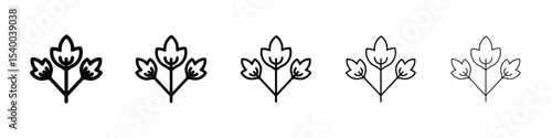 Parsley icon isolated vector on white background set