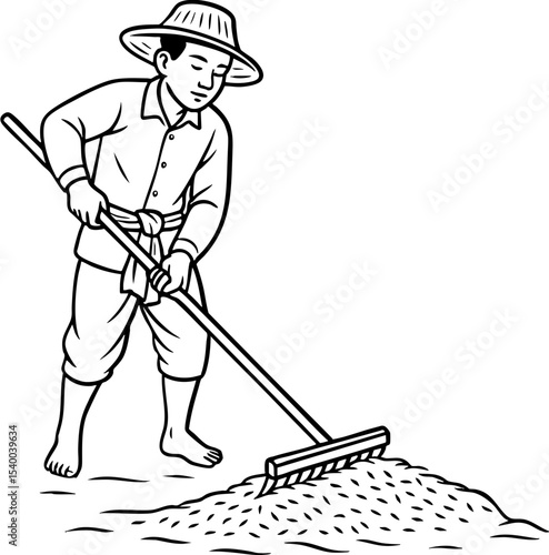 Asian farmer drying harvested rice grains
