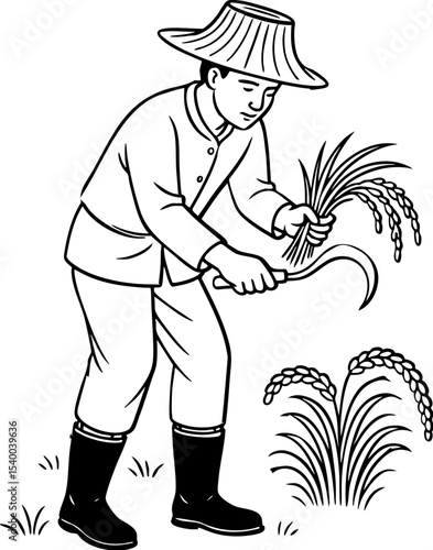 Asian farmer harvesting rice