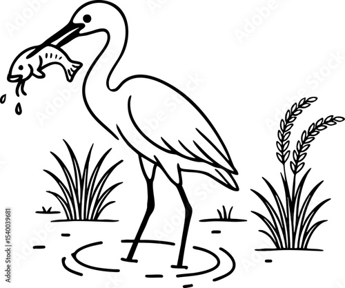 An egret catching a fish in a rice field