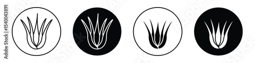 Aloe vera icon