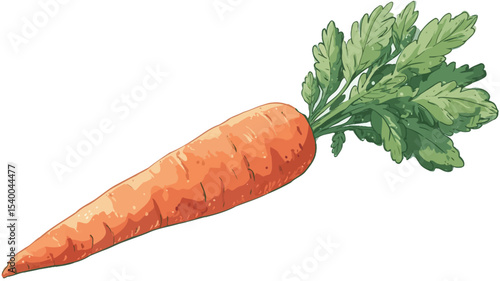 A digital illustration of a single, whole, orange carrot with its green tops. The carrot is depicted in a slightly stylized manner, suggesting a hand-drawn or painted quality. 