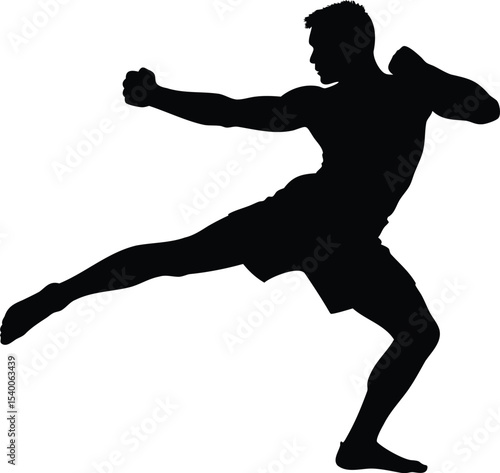 Silhouette of a man performing a martial arts kick and punch