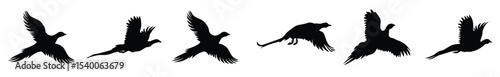 six pheasants silhouette vector art design.