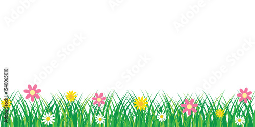 Grass and flower border. Simple meadow border or background design. Transparent PNG and vector illustration.