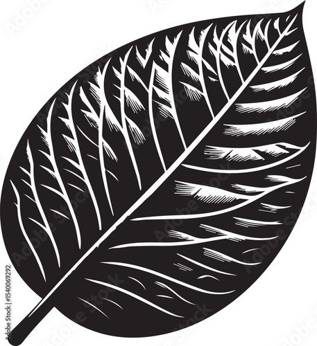 Guava Leaf Vector Illustration – Tropical Herbal Foliage Design