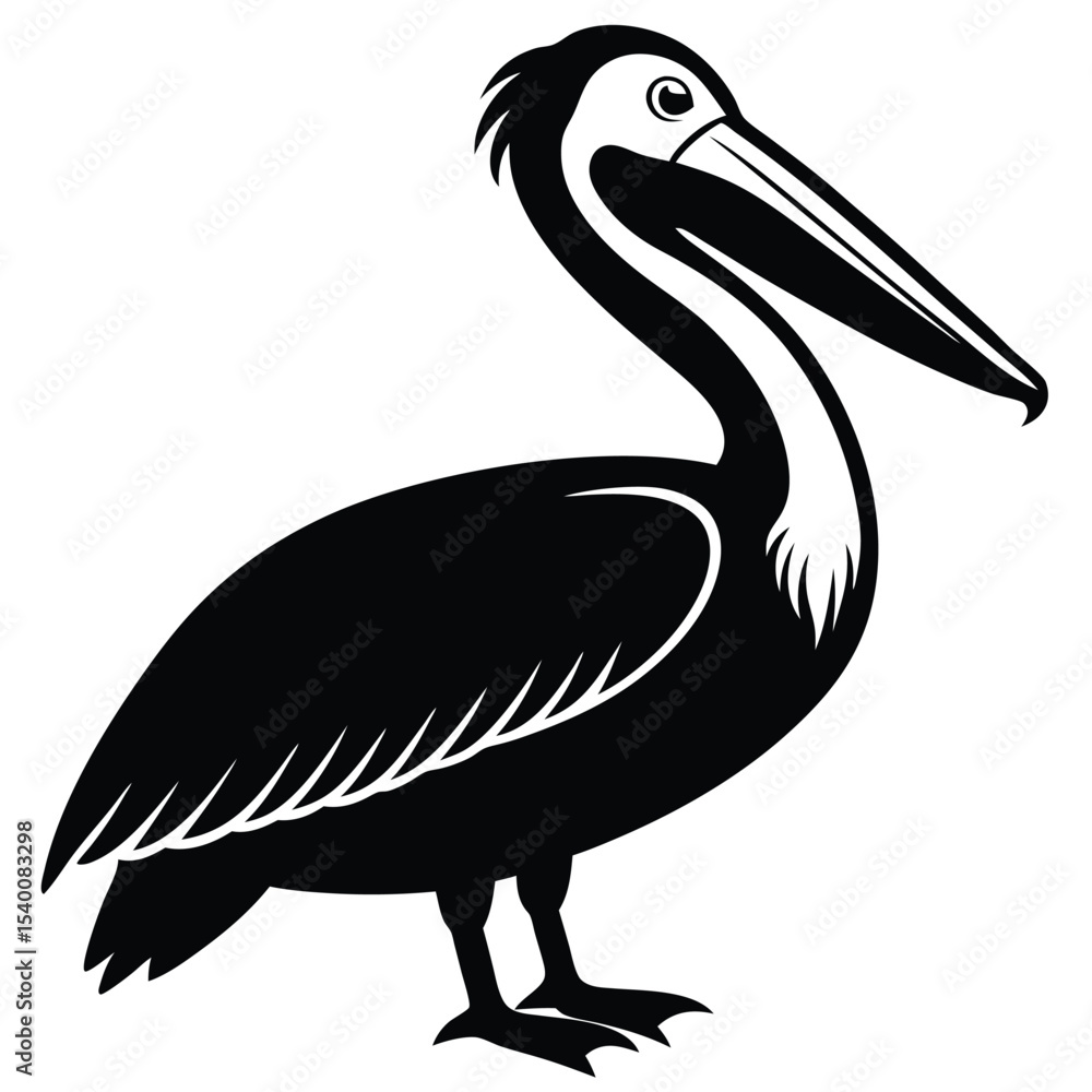 Fototapeta premium pelican vector