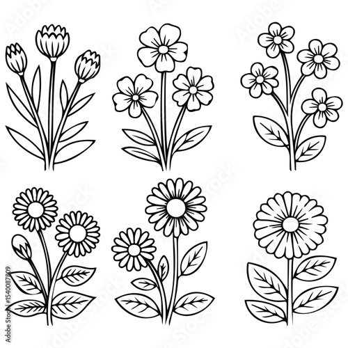 Field flowers summer set vector isolated white background