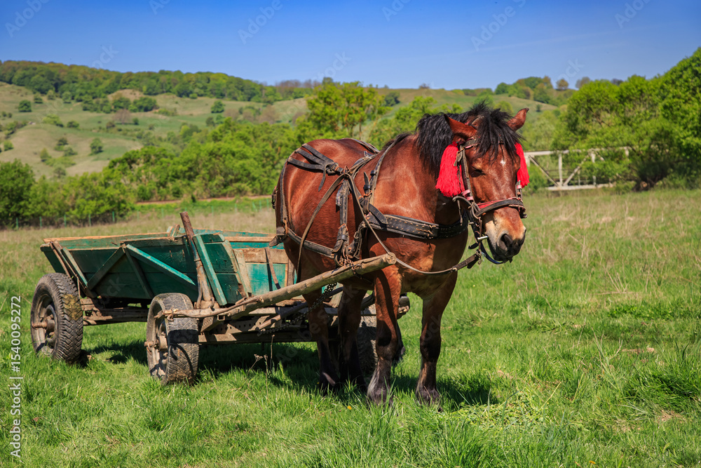 Obraz premium Horse with Traditional Wooden Cart in Rural Romania