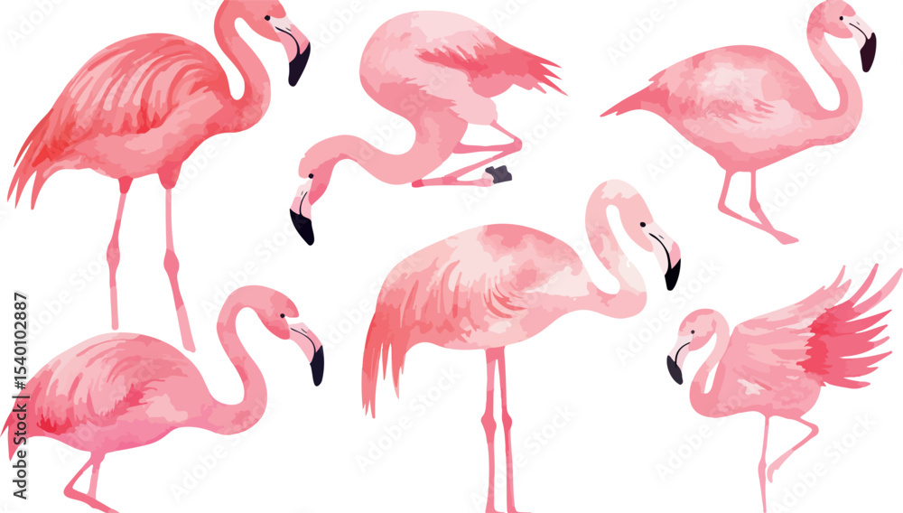 Obraz premium Watercolor Flamingo Set Illustration Pink Bird Collection with Different Poses Tropical Wildlife Design Element Isolated on White Background Perfect for Summer and Beach Themes