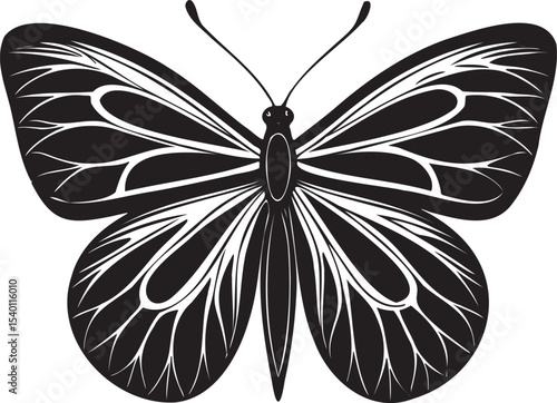 Art & Illustration
