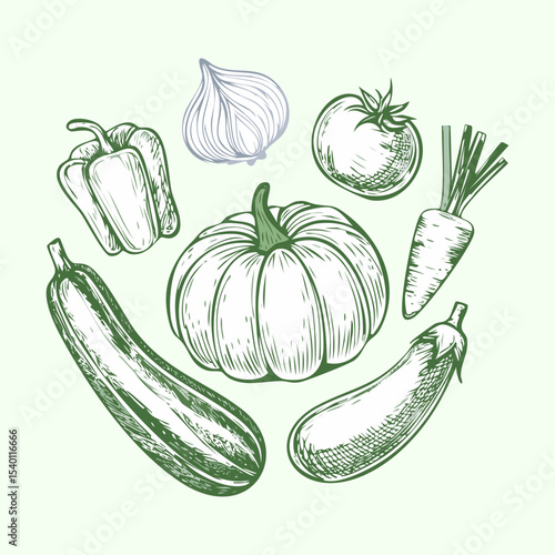 Outline Fresh Vegetables Garden Sketch - Vector Illustration