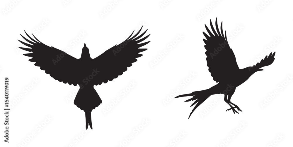 Obraz premium Flying Bird Silhouette Vector Illustration for Nature and Freedom Design