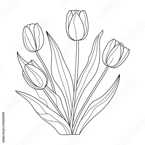 A black and white tulip illustration line art of a coloring page